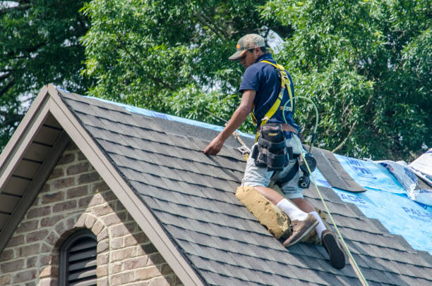 Quick and Trustworthy Emergency Roof Repair Services in Vamo, FL